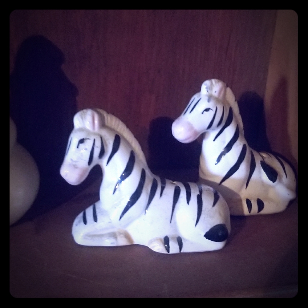 zebra  salt and pepper  shakers